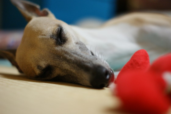 f:id:joju8:20100728161049j:image:w400