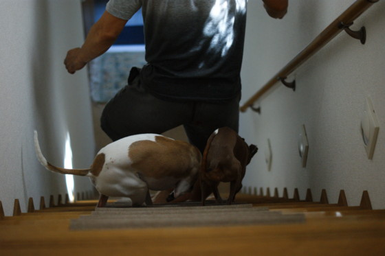 f:id:joju8:20100808133812j:image:w500