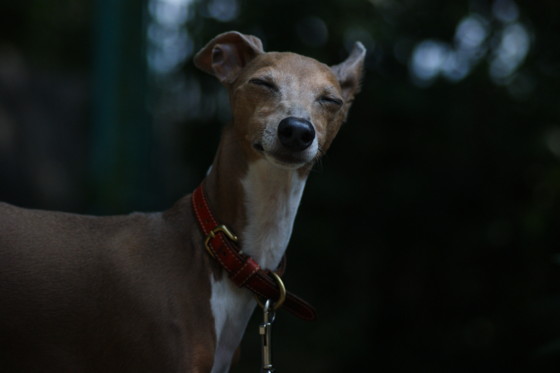 f:id:joju8:20100820092936j:image