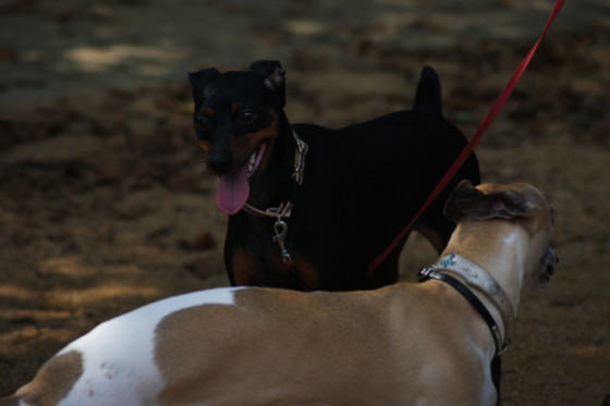 f:id:joju8:20100820094114j:image:w400