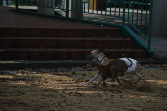 f:id:joju8:20100820094512j:image:w400