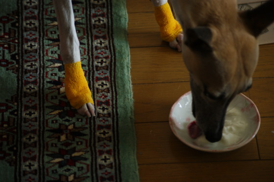 f:id:joju8:20100820102508j:image:w400