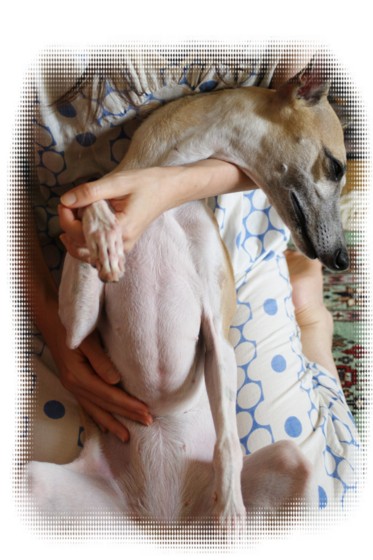 f:id:joju8:20100821025851j:image:w400