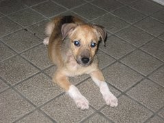 f:id:joju8:20100821102205j:image