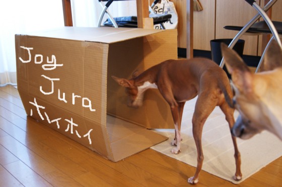 f:id:joju8:20100901164628j:image