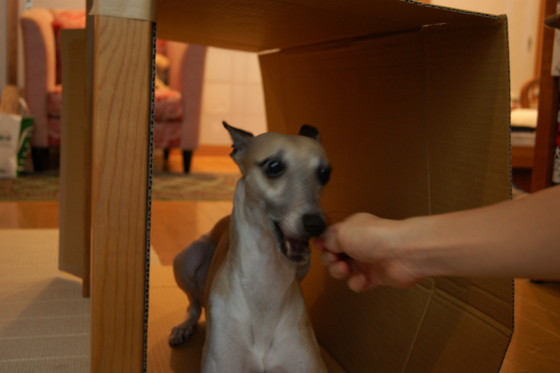 f:id:joju8:20100901165119j:image:w500