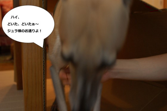 f:id:joju8:20100902163447j:image:w500