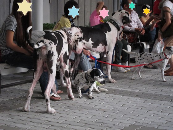 f:id:joju8:20100919170829j:image:w500 f:id:joju8:20100919170829j:image:w500