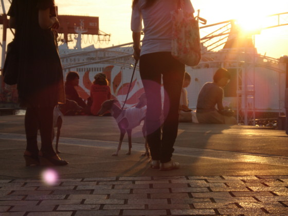 f:id:joju8:20100919174732j:image f:id:joju8:20100919174732j:image