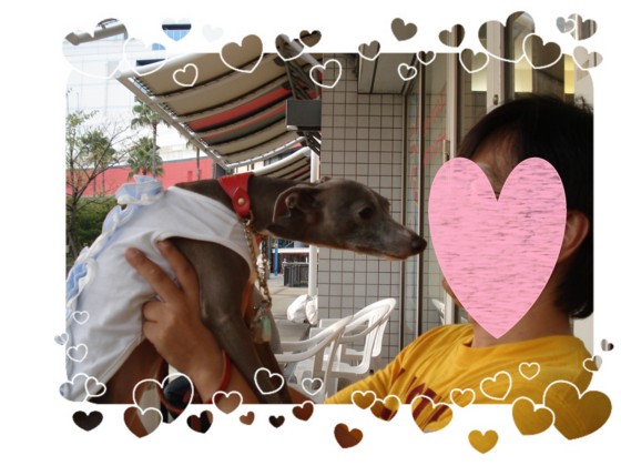 f:id:joju8:20100923141332j:image f:id:joju8:20100923141332j:image