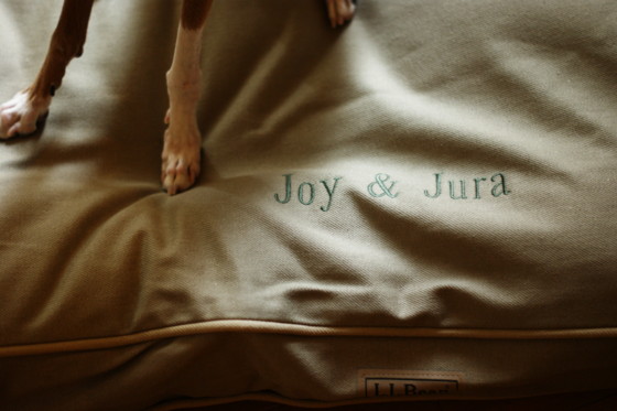 f:id:joju8:20110317111901j:image:w500 f:id:joju8:20110317111901j:image:w500