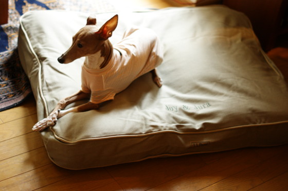 f:id:joju8:20110317111942j:image:w500 f:id:joju8:20110317111942j:image:w500