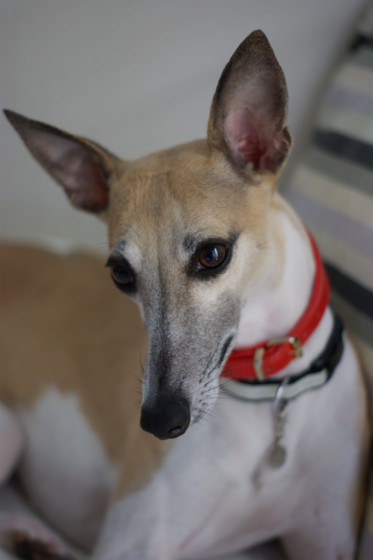 f:id:joju8:20110318095410j:image f:id:joju8:20110318095410j:image