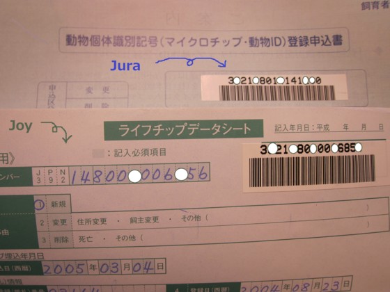 f:id:joju8:20110318160934j:image:w400 f:id:joju8:20110318160934j:image:w400