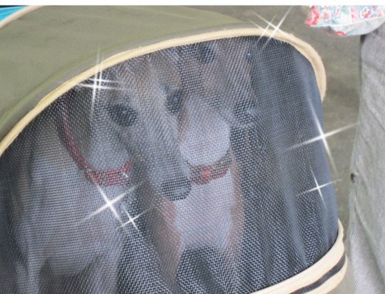 f:id:joju8:20110801135147j:image:w500