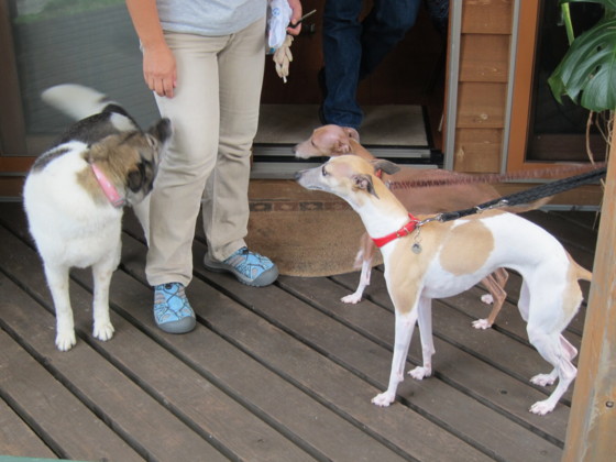 f:id:joju8:20110801140838j:image:w400