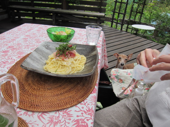 f:id:joju8:20110801143608j:image:w400