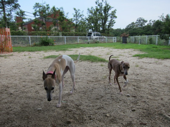 f:id:joju8:20110801155708j:image:w500