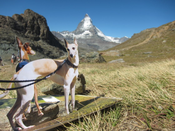 f:id:joju8:20110811180457j:image:w400 f:id:joju8:20110811180457j:image:w400