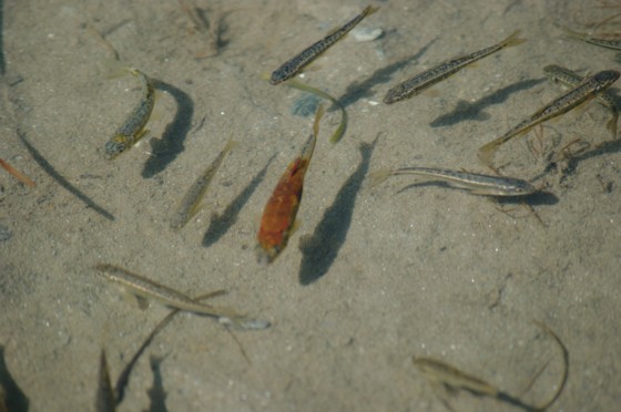 f:id:joju8:20110811182716j:image:w400 f:id:joju8:20110811182716j:image:w400