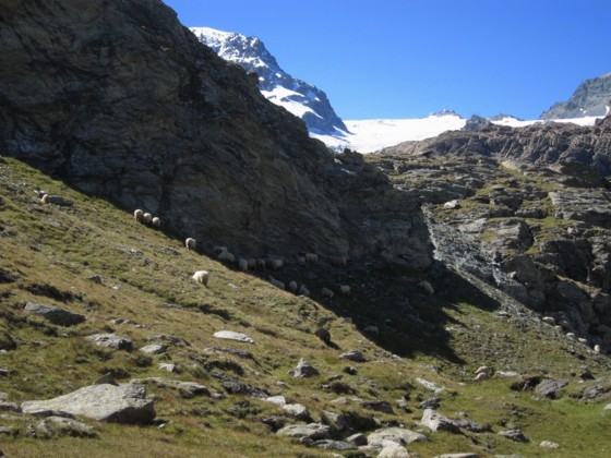 f:id:joju8:20110811185320j:image:w500 f:id:joju8:20110811185320j:image:w500