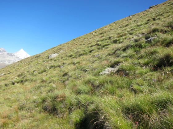 f:id:joju8:20110811191256j:image:w500 f:id:joju8:20110811191256j:image:w500