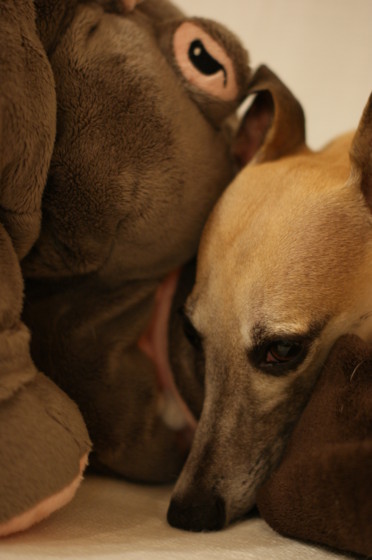 f:id:joju8:20110907205417j:image:w300