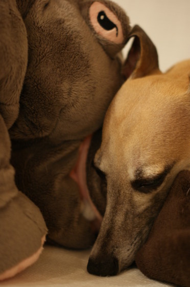 f:id:joju8:20110907205432j:image:w300