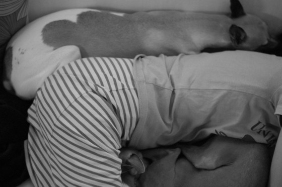 f:id:joju8:20110908165621j:image:w500