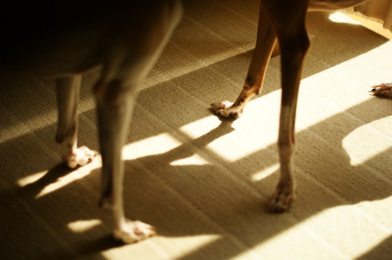 f:id:joju8:20110909094710j:image:w500