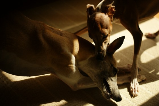 f:id:joju8:20110909094713j:image:w500