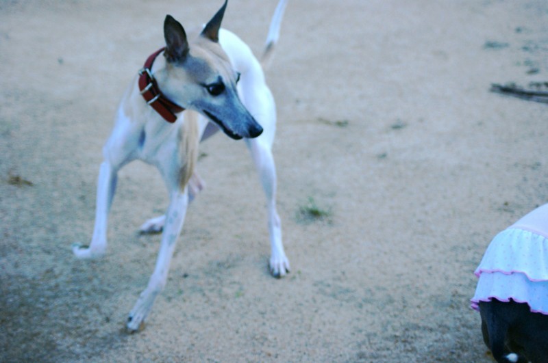 f:id:joju8:20110924154255j:image:w500