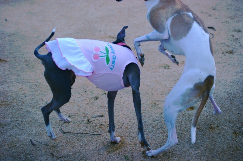 f:id:joju8:20110924154256j:image:w500