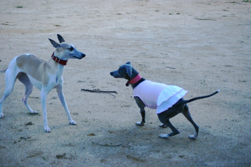 f:id:joju8:20110924154300j:image:w500