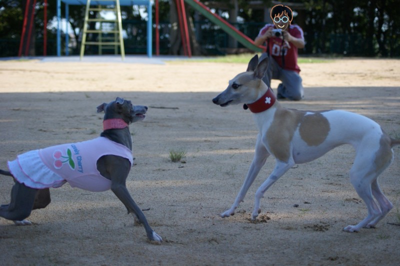 f:id:joju8:20110924154357j:image:w500