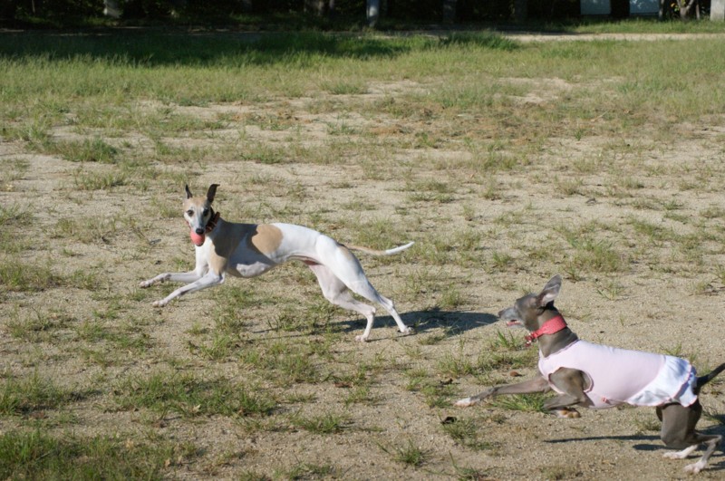 f:id:joju8:20110924155758j:image:w600