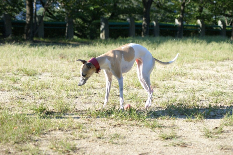 f:id:joju8:20110924155832j:image:w500