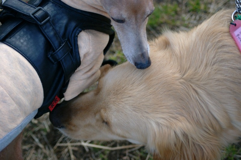 f:id:joju8:20120224162210j:image:w400