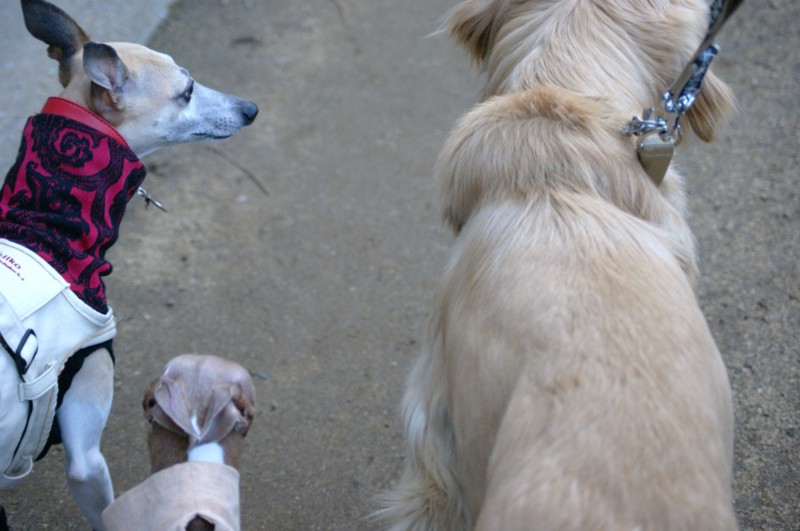 f:id:joju8:20120224162619j:image:w400