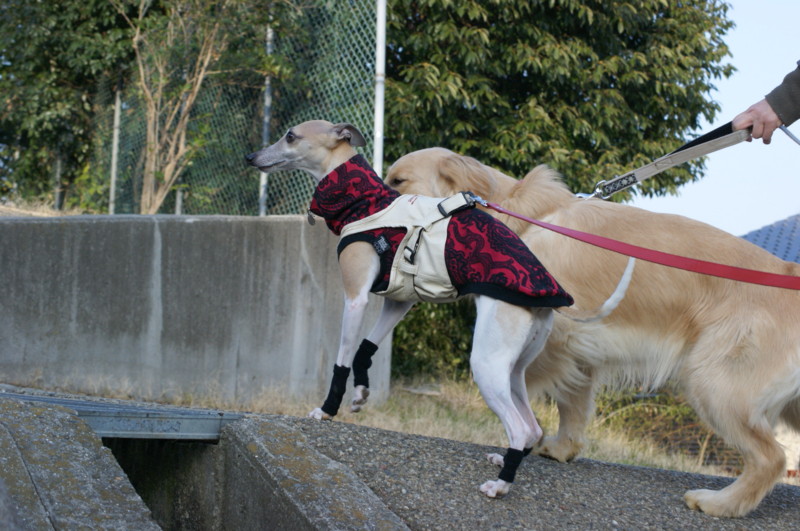 f:id:joju8:20120224162810j:image:w400