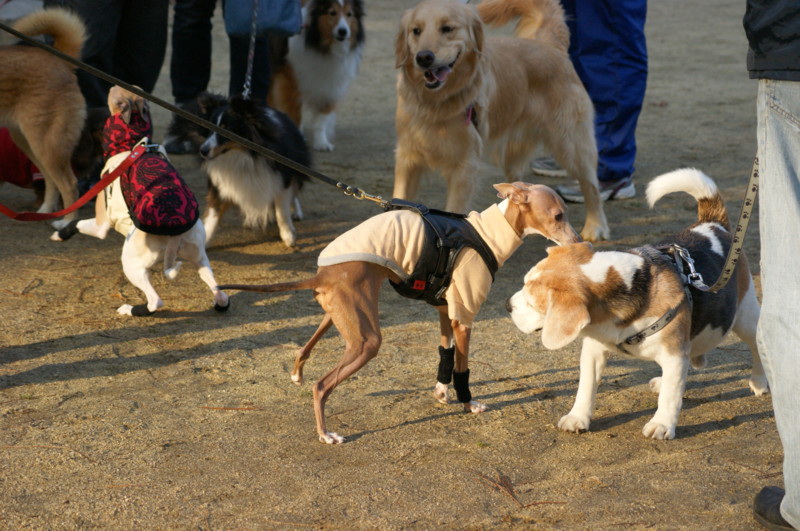 f:id:joju8:20120224162921j:image:w400