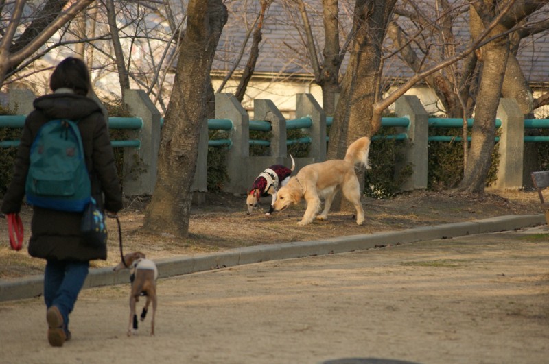 f:id:joju8:20120224163347j:image:w400