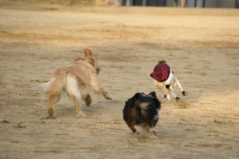 f:id:joju8:20120224163525j:image:w500