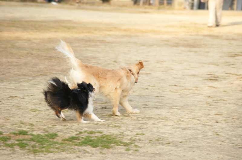 f:id:joju8:20120224163603j:image:w500