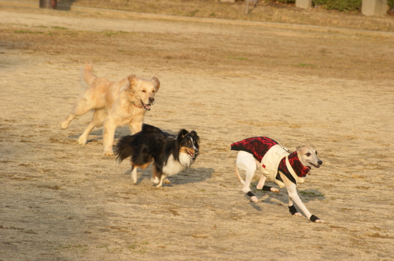 f:id:joju8:20120224163605j:image:w500