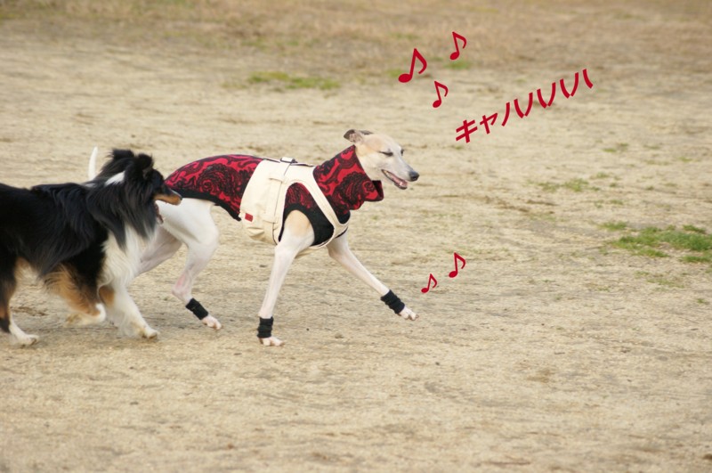 f:id:joju8:20120224163631j:image:w500