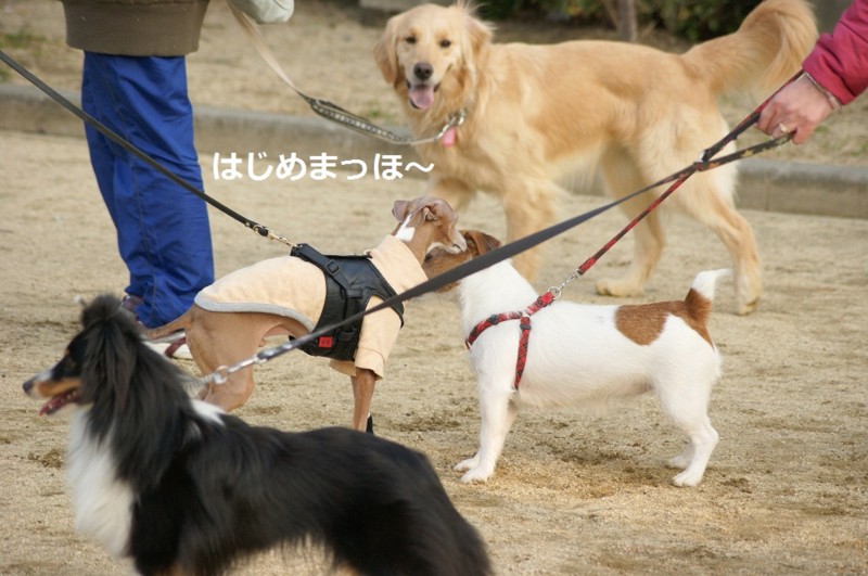 f:id:joju8:20120224163748j:image:w400