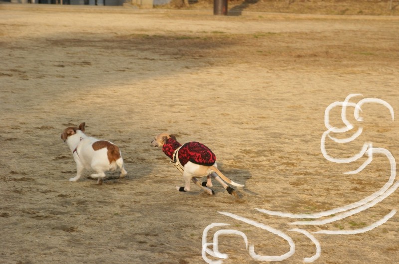 f:id:joju8:20120224163813j:image:w450