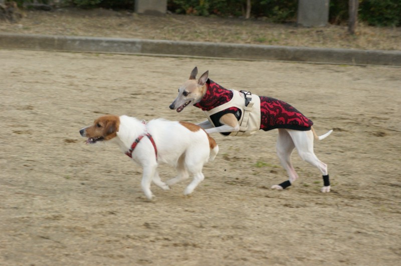 f:id:joju8:20120224163824j:image:w450