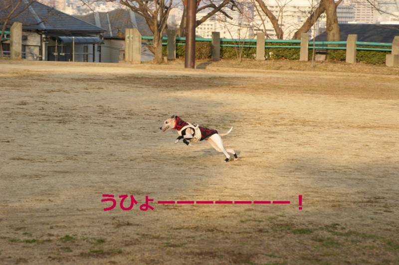 f:id:joju8:20120224164203j:image:w450